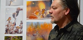 Ptaki i ptaszki. Ta wystawa robi wrażenie ogromem pracy