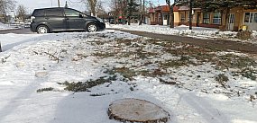 Czytelniczka Kolniaka: znowu wycinają