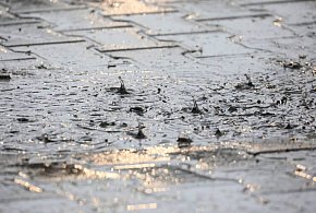 IMGW: burze na Mazurach, deszcz na południu, a na wybrzeżu silny wiatr-47701