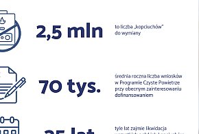 Kopciuchy znikną za 35 lat. Wątpliwe efekty reformy  - 48131