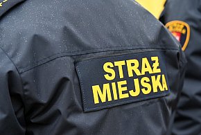 Zapuka strażnik, zapłacisz karę. Ruszyły kontrole w całej Polsce-48491