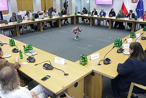 Wysłuchanie publiczne na temat zniesienia dwukadencyjności w samorządach-48923