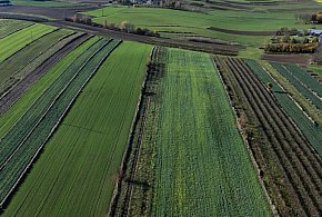 Rząd ratuje reformę planowania. Kary dla gmin za wuzetki zostaną zawieszone-48981