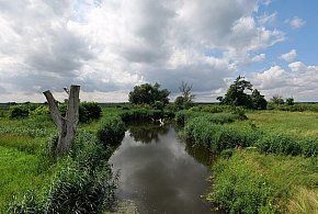 Co dalej z nowym parkiem narodowym? Minister klimatu zdradza plan po wecie-49314