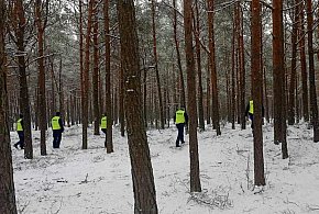 Zaginął mężczyzna, który wybrał się do pobliskiego lasu-49653