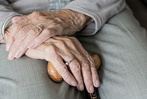 Te osoby dostaną dwie emerytury w grudniu. ZUS przesuwa przelewy-49642