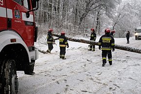2101 interwencji strażaków po opadach śniegu i deszczu ze śniegiem-49727