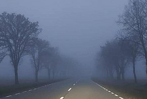 Gęsta mgła w powiecie kolneńskim-49875