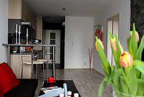 Rewolucja w wynajmie na doby. Nadchodzi koniec "wolnej amerykanki"-49954