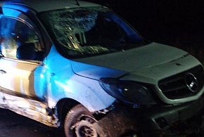 Kierowca wjechał do rowu. Został zatrzymany-50178