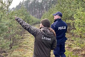 Policja w Kolnie: jeśli choinka, to tylko z legalnego źródła-50322