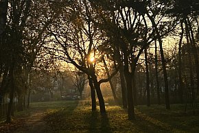 Nadchodzi najkrótszy dzień w 2025 roku. Sprawdź, kiedy przypadnie-50358