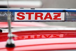 Trwa dogaszanie pożaru hali w Stalowej Woli-50417