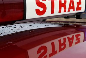 PSP: 361 pożarów w pierwszy dzień świąt; zginęły dwie osoby-50536