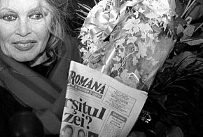 Zmarła słynna aktorka Brigitte Bardot. Miała 91 lat-50563