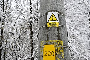 Awarie sieci w woj. warmińsko-mazurskim – bez prądu 5,5 tys. odbiorców-50691