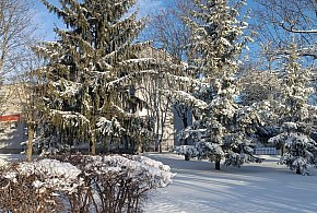 Opady śniegu w powiecie kolneńskim-50954