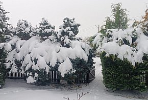 IMGW: Najbliższe dni mroźne, na wschodzie z temperaturą w nocy do minus 21 st. C-51106