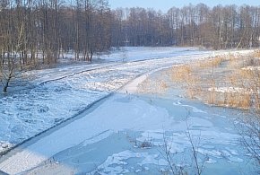 IMGW ostrzega przed silnym mrozem i opadami marznącymi