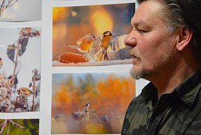 Ptaki i ptaszki. Ta wystawa robi wrażenie ogromem pracy