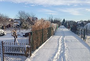 W weekend mroźno z opadami marznącymi, na północnym wschodzie do minus 19 st. C