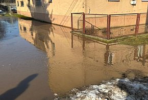 Kolneńscy strażacy zmagali się z konsekwencjami odwilży