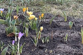 Ostrzeżenie pierwszego stopnia dla miejscowości Kolno i dla okolic