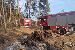 Pożar lasu w gminie Kolno