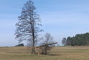 Zobaczcie, co uchwycił obiektyw na trasie Kolno - Górskie