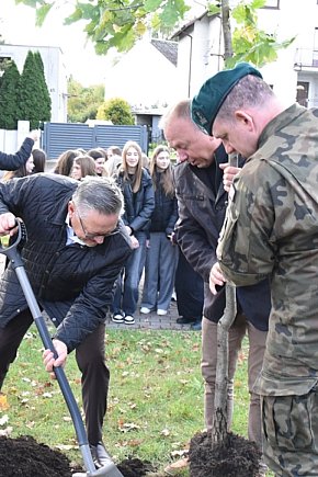 „600 lat tradycji, 600 drzew przyszłości”-5577