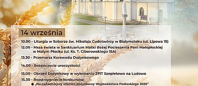 Wojewódzko - Diecezjalne Dożynki Mały Płock-299468