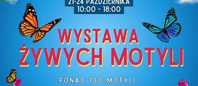 Wystawa Żywych Motyli-1373