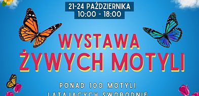 Tropikalny ogród pełen magii w sercu Kolna-48522