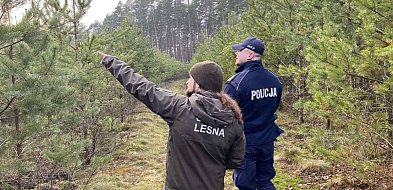 Policja w Kolnie: jeśli choinka, to tylko z legalnego źródła-50322