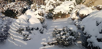 Silny mróz w powiecie kolneńskim-50689