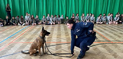 Szkolenie i spotkania profilaktyczne dla harcerzy-51121