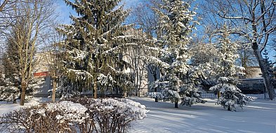 Silny mróz w powiecie kolneńskim