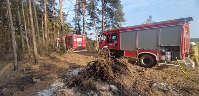 Pożar lasu w gminie Kolno