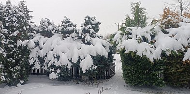 Najbliższe dni mroźne, z temperaturą w nocy nawet do minus 28 st. C