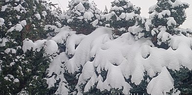 Silny mróz w powiecie kolneńskim