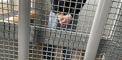 Elektronarzędzia  znikają z obory. Sprawcy zatrzymani