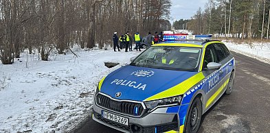 Tragiczne zderzenie z łosiem. Kierowca zginął na miejscu