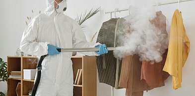 Pluskwy w mieszkaniu – jak skutecznie rozpoznać problem i trwale się go pozbyć?