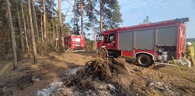 Pożar lasu w gminie Kolno