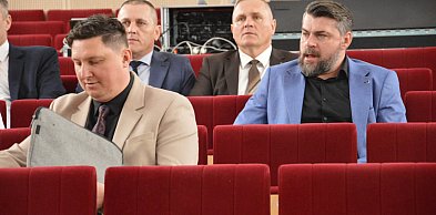 Jak Kolno walczy z bezdomnością zwierząt?