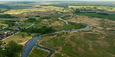 Szczepienia lisów przeciwko wściekliźnie