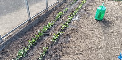 Ostrzeżenie pierwszego stopnia dla miejscowości Kolno i dla okolic