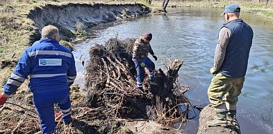 Porządki i zarybianie. Pisa dostaje nowe życie