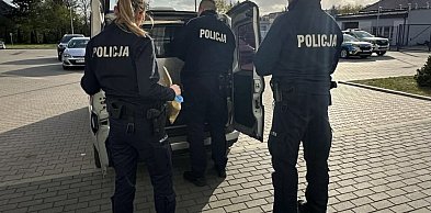 Nie uwierzysz, kogo zatrzymali policjanci z kolneńskiej drogówki!