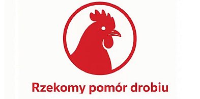 Gmina Kolno: Wyznaczono strefę rzekomego pomoru drobiu